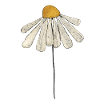 Daisy Minimal Illustration
