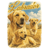 Labrador Retriever Retro Hund