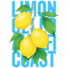 Limoncello Zitronen Amalfi Italien Sommer