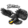 Né pour jouer au volley-ball Adler