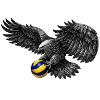 Adler mit Volleyball