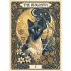Cat, le magicien