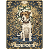 Chien, le magicien