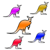 Kangourous