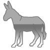 âne