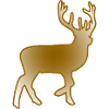 Cerf