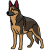 German Shepherd Dog