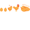 Chicken Whisperer Chicken Chicken Keeper Chickens