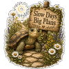 Slow Days Big Plans Turtle