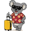 Look hawaïen de Koala Traveler