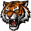 Wild Tiger Heads Graphic