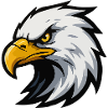 Eagle Head Cartoon Logo Style
