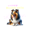 Collie aux cheveux longs