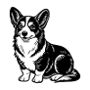 Corgi assis
