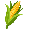 Corn stalk
