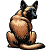 Malinois Belgian Shepherd Malinois Owner