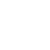 Kiel Möwen Hansestadt Kiel