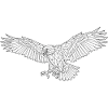 majestic eagle