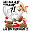 "Christmas Already ?!" Funny Peeking Reindeer 