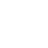 Easily Distracted by Ants