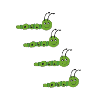 Caterpillar race funny