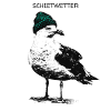 Schietwetter Möwe