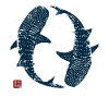 Cercle des requins-baleines