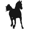 Galoppierendes Pferd