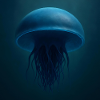 Méduse bleu minuit