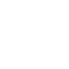 Skull No Talk