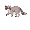 Trash Panda Raccoon