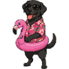 Hawaiianischer Hund mit Flamingo-Ring