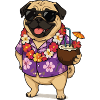 Pug Hawaii-Look mit Cocktail