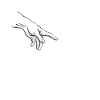 Best Cat Dad Ever