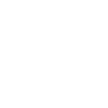 Bamberg Basketball