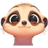 Suricate Erdmännchen