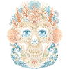 Belize Belizean Root