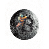 Bitcoin to the moon