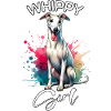 Lévrier Whippet Girl