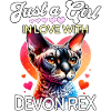 Devon Rex Mädchen