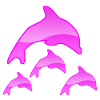 Dauphins