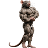 Conseil du gymnase