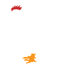 Chicken Whisperer Chicken Chicken Keeper Chickens