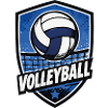 Volleyball Shield Motiv