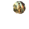 Meerkat Erdmännchen