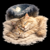 Mommy cat sleeps with her child