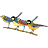 Bunte Vögel