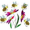 Insectes