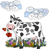 Vache