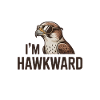 Falke Sonnenbrille Im Hawkward Greifvogel